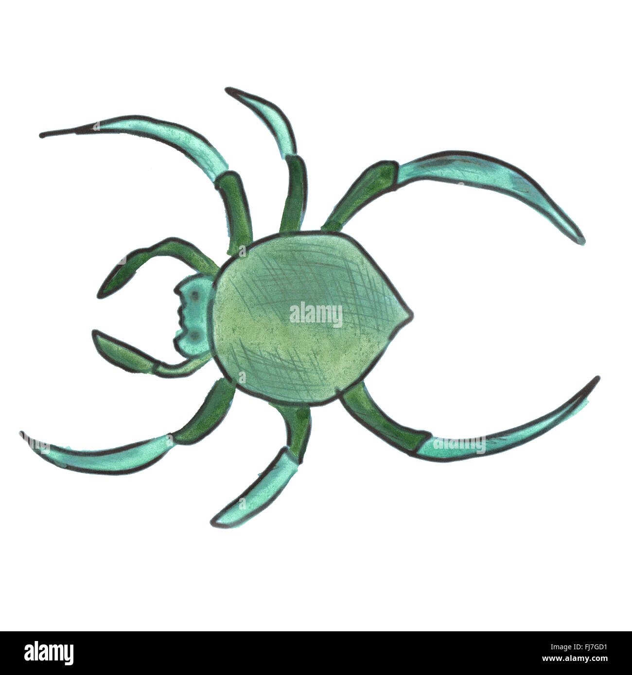 green watercolor cartoon spider isolated handmade Stock Photo
