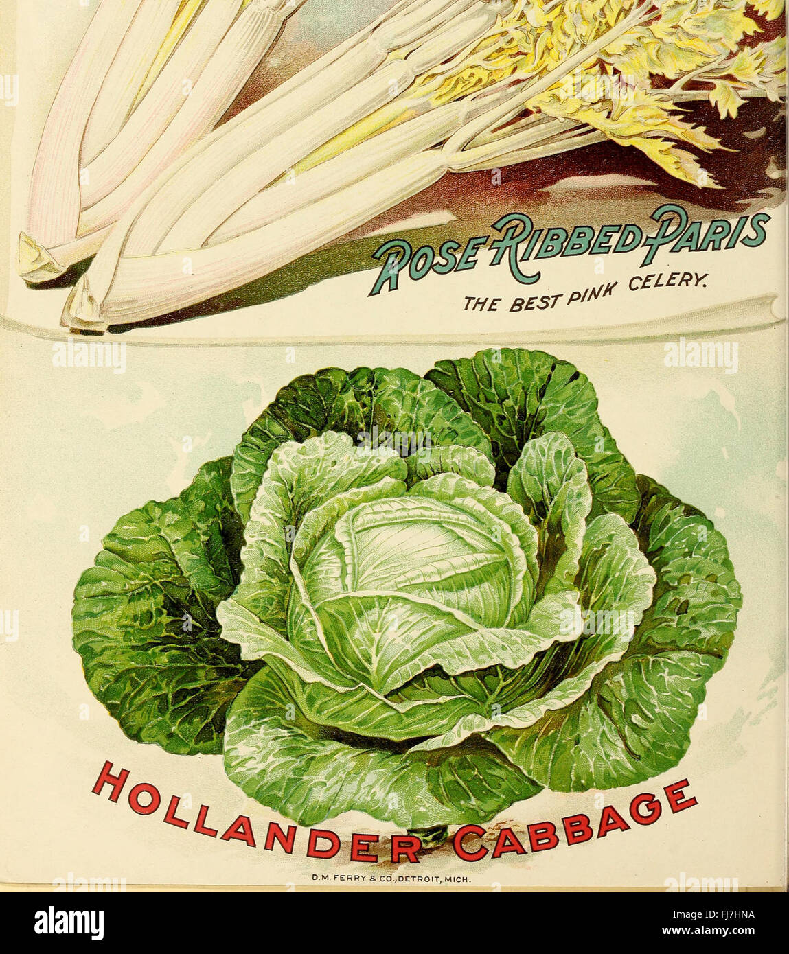 Agricultural catalog from 1899 featuring a comprehensive selection of
