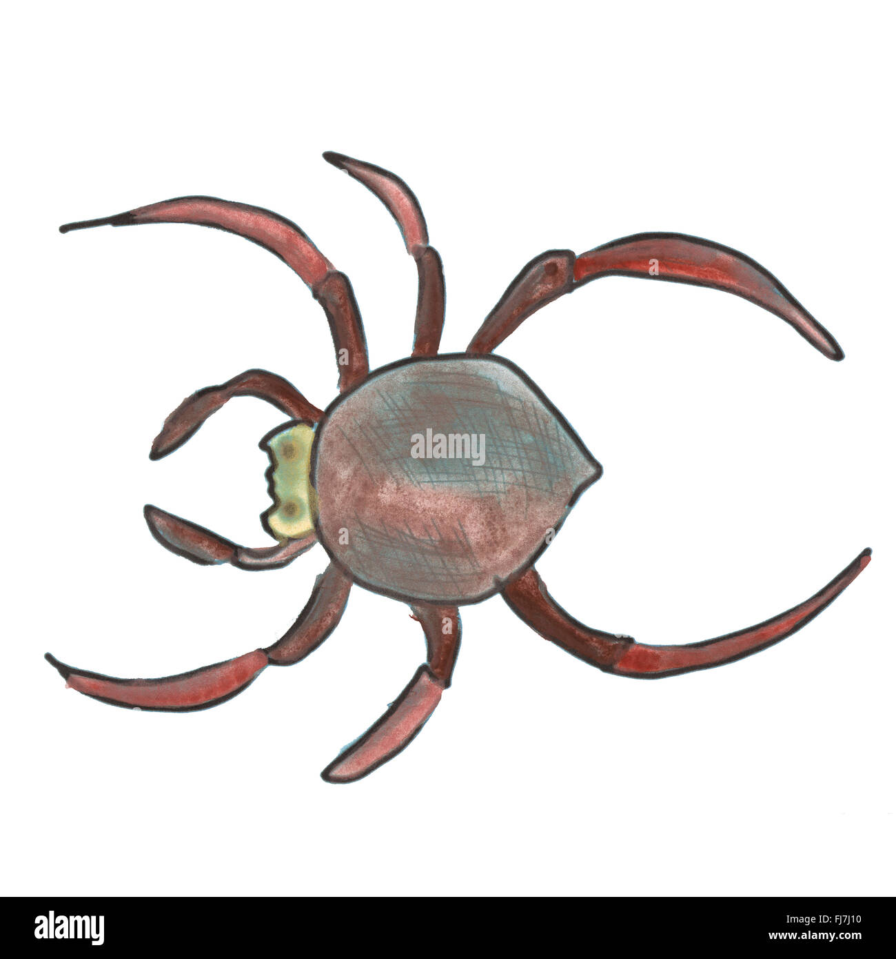 red spider cartoon watercolor isolated Stock Photo