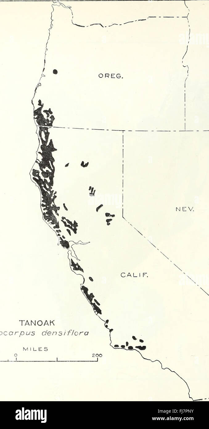 Tree Distribution Us A study on the distribution of important forest tree species across the ...