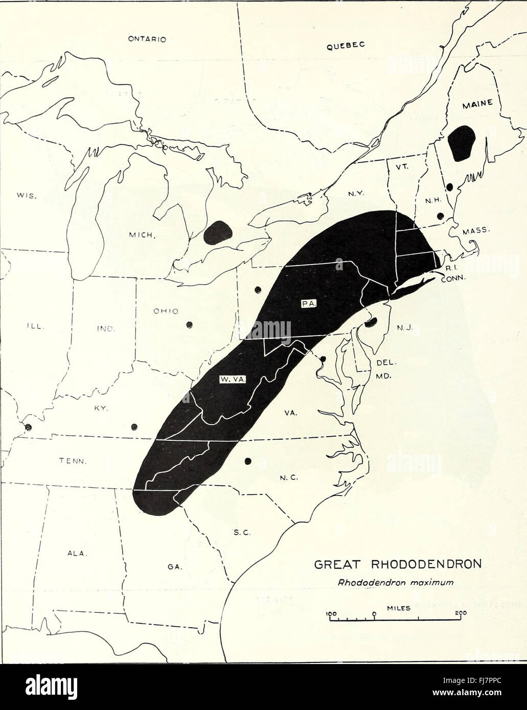 Tree Distribution Us The distribution of important forest trees of the United States Stock ...