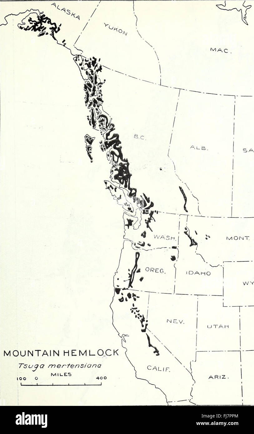 The distribution of important forest trees of the United States (1938) Tsuga mertensiana Stock Photo