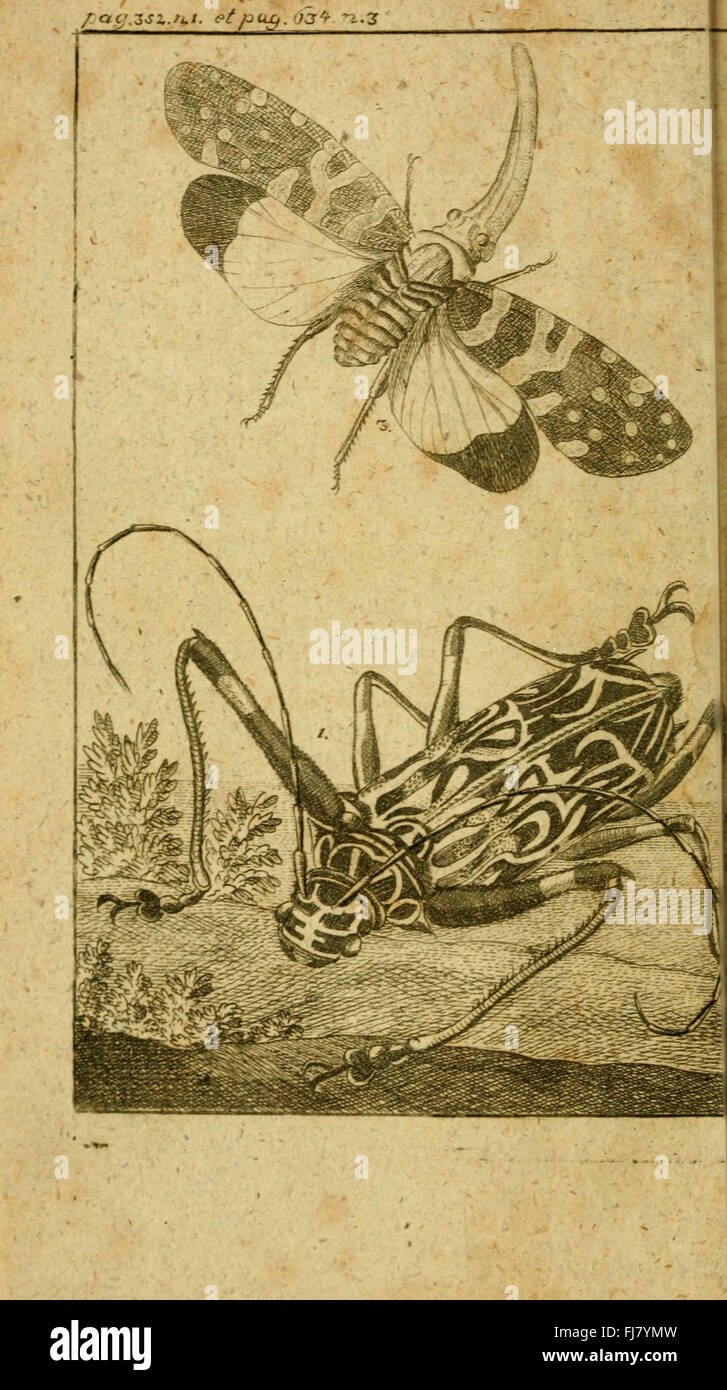 Earlier Insect An early 19th-century work on the natural history of all insect species ...