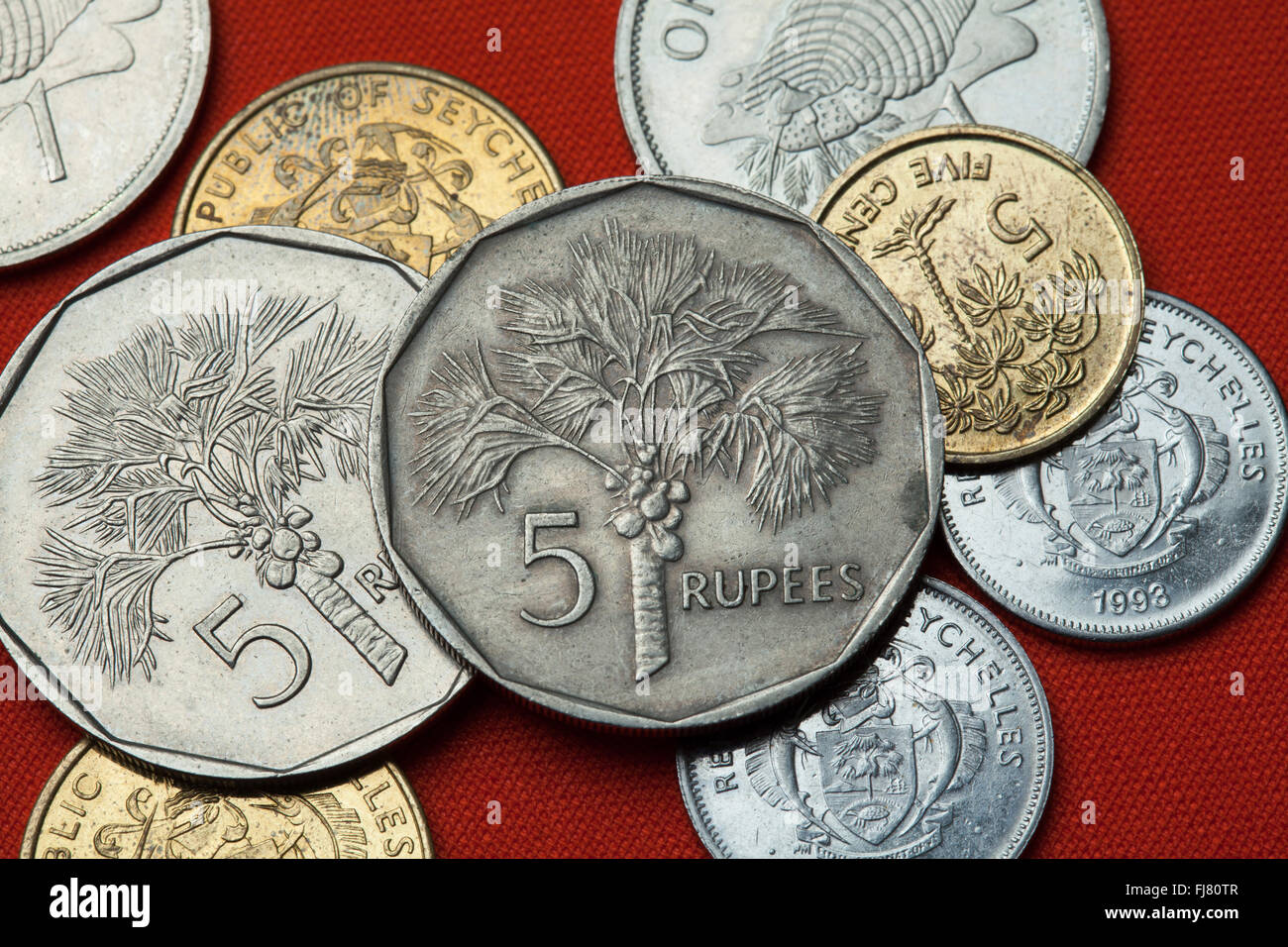 Coins of the Seychelles. Coconut palm (Cocos nucifera) depicted in the