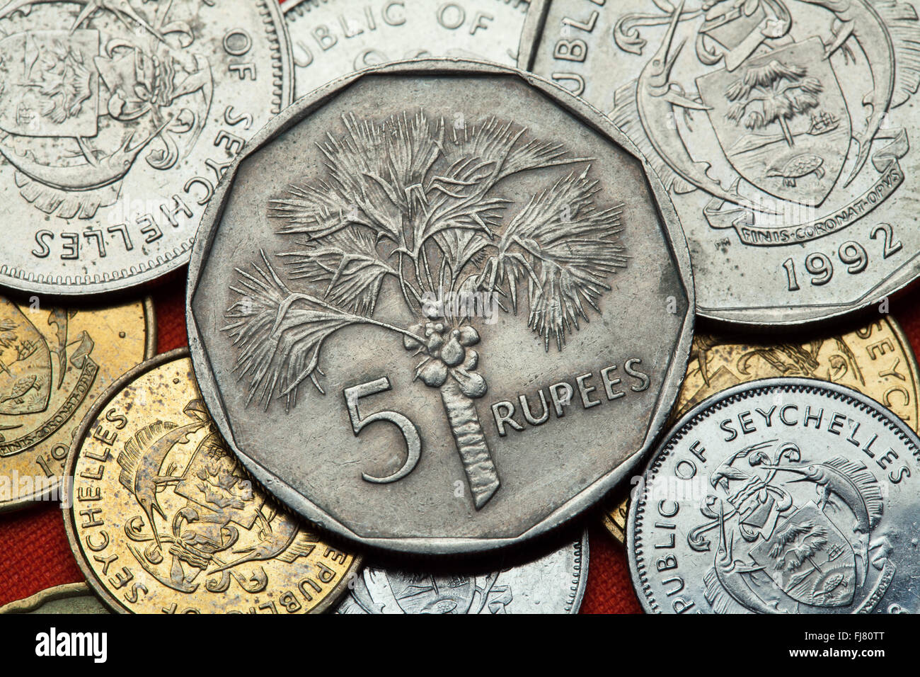Coins of the Seychelles. Coconut palm (Cocos nucifera) depicted in the