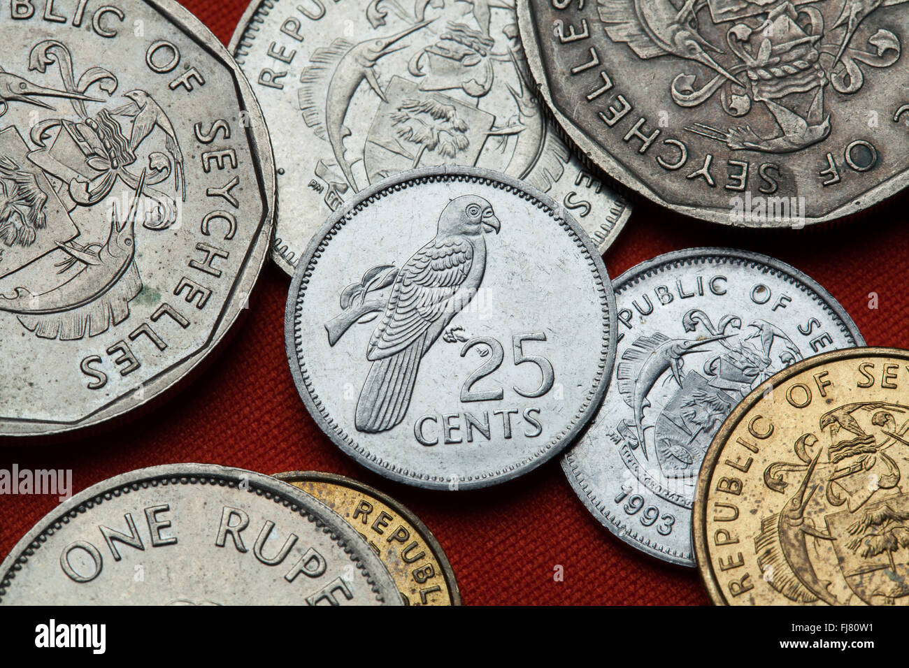 Coins of the Seychelles. Seychelles black parrot (Coracopsis barklyi) depicted in the Seychellois 25 cents coin. Stock Photo