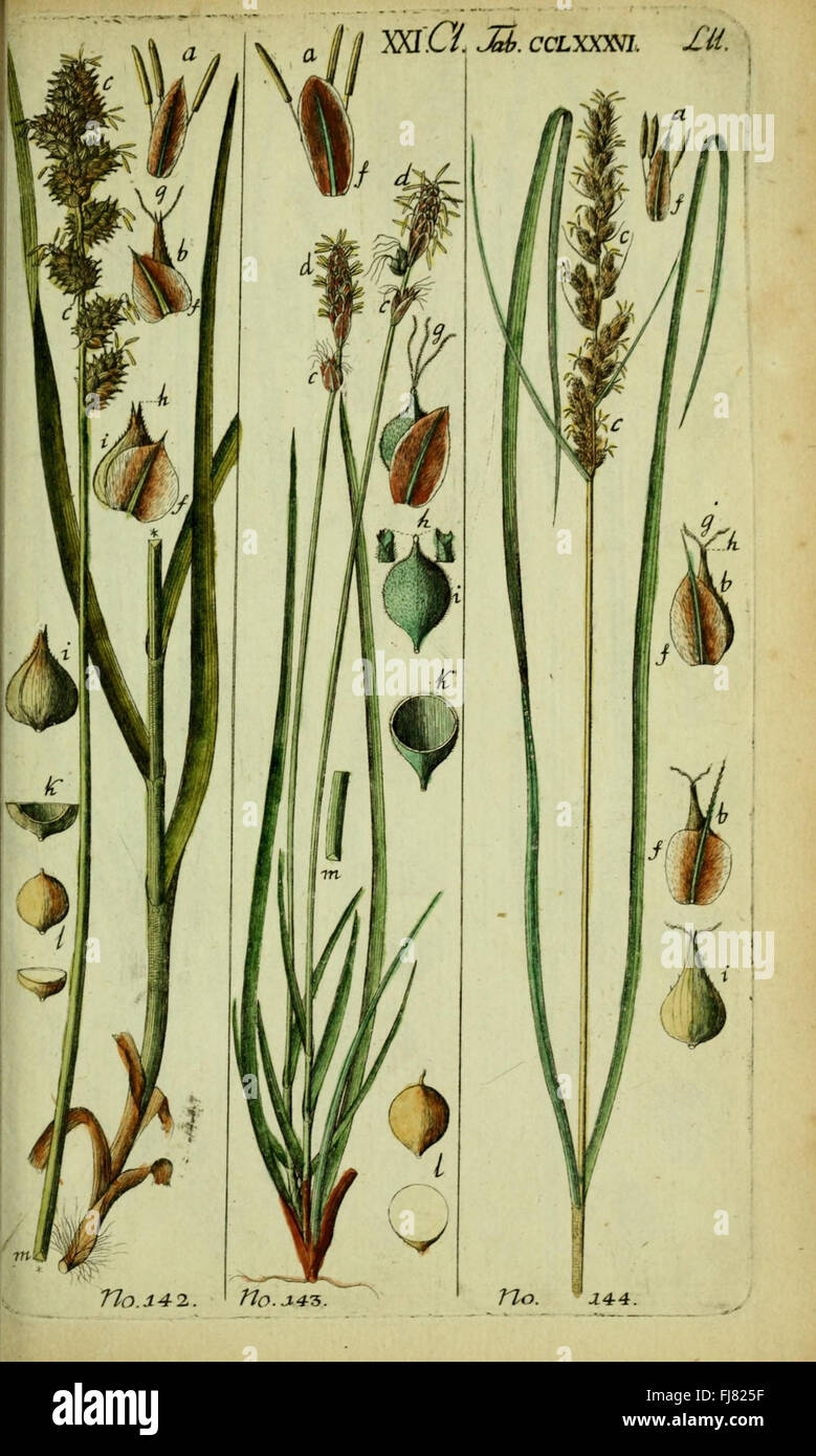 Beschreibung und Abbildung der theils bekannten, theils noch nicht