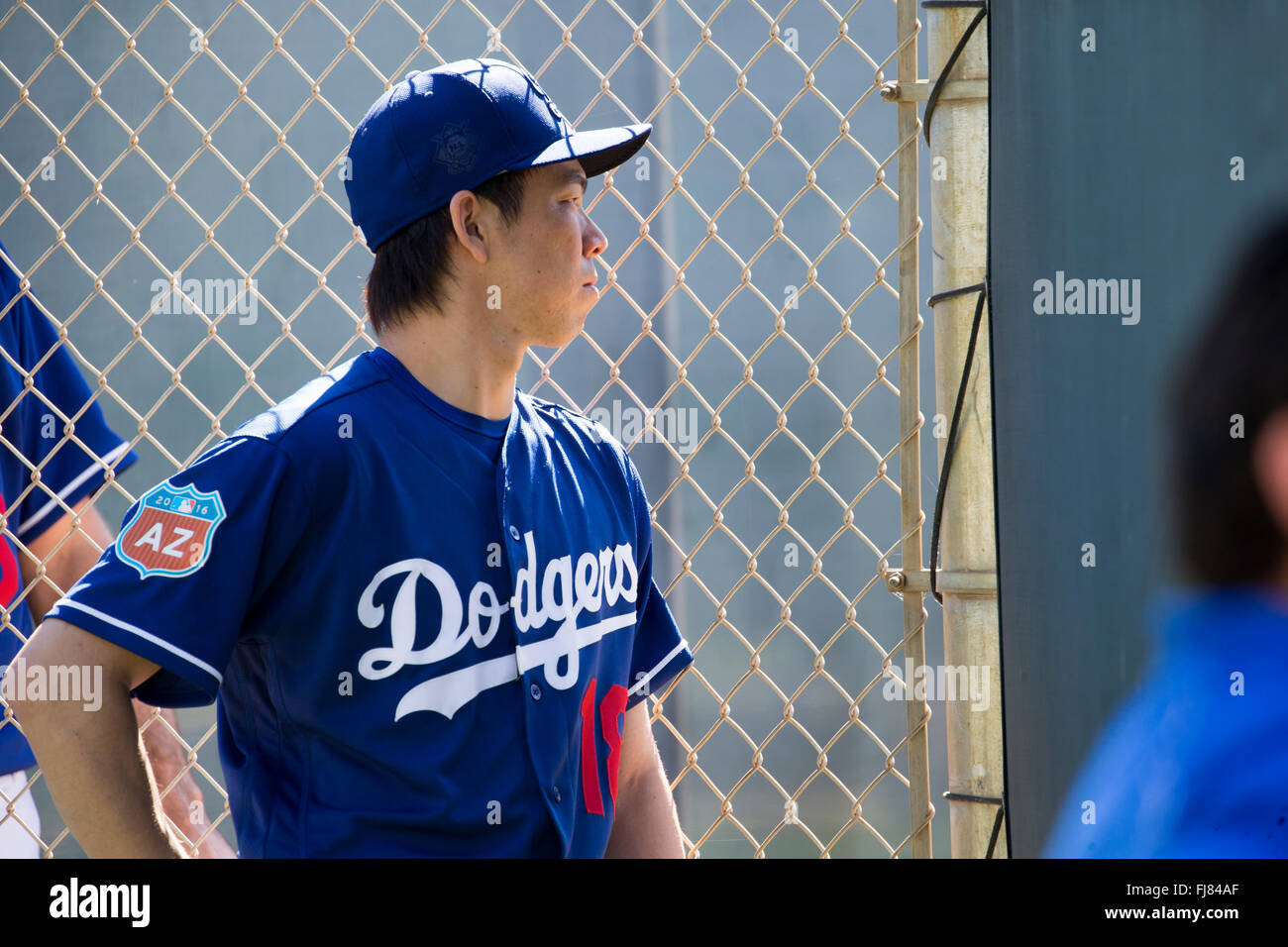 dodgers spring training hat 2016