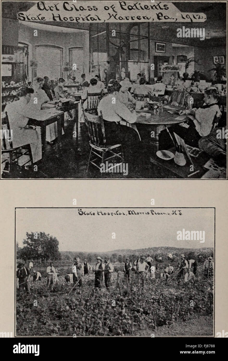 Alienist and Neurologist, a 1913 work detailing the roles of early ...