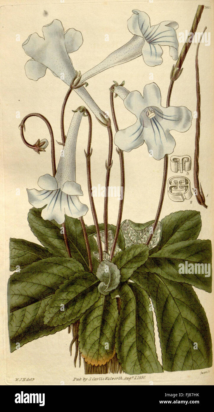A celebrated botanical periodical, Curtis's Botanical Magazine, known ...