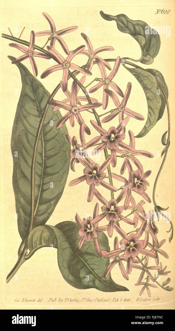 An edition of Curtis's botanical magazine featuring plant species and ...
