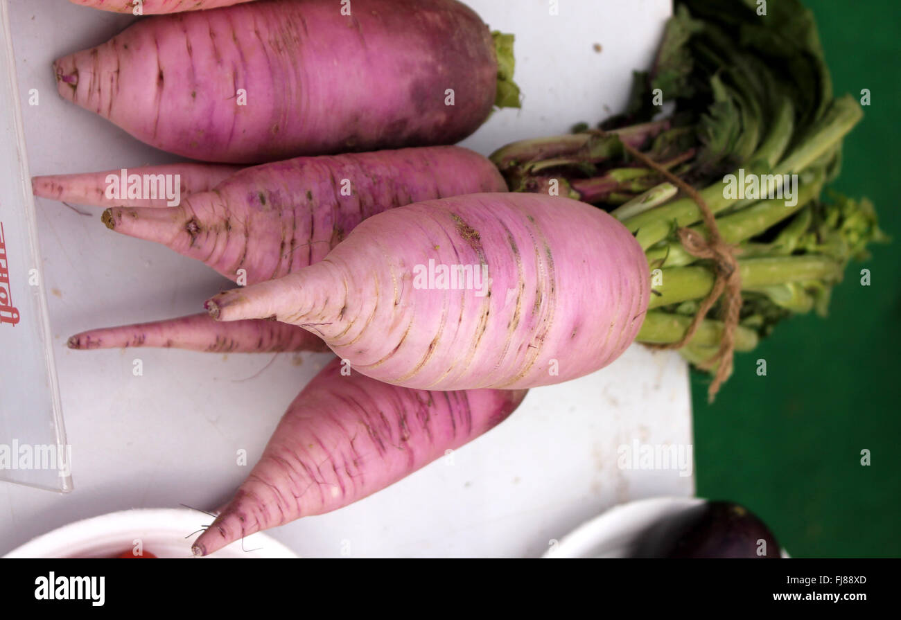 PUSA Jamuni Radish, Raphanus sativus, purple fleshed radish variety