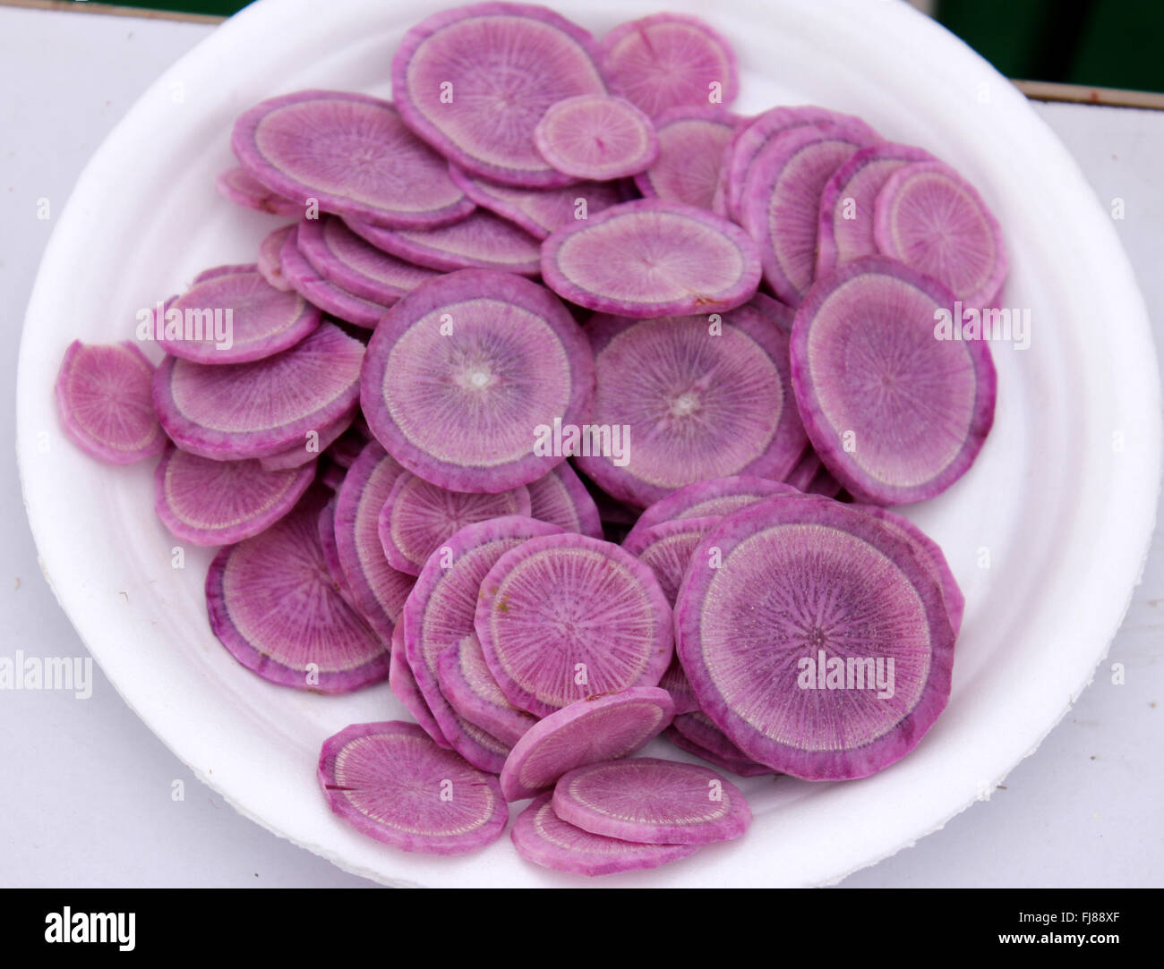 PUSA Jamuni Radish, Raphanus sativus, purple fleshed radish variety