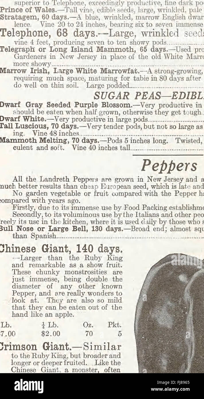 Historical seed catalog from the D. Landreth Seed Company, listing