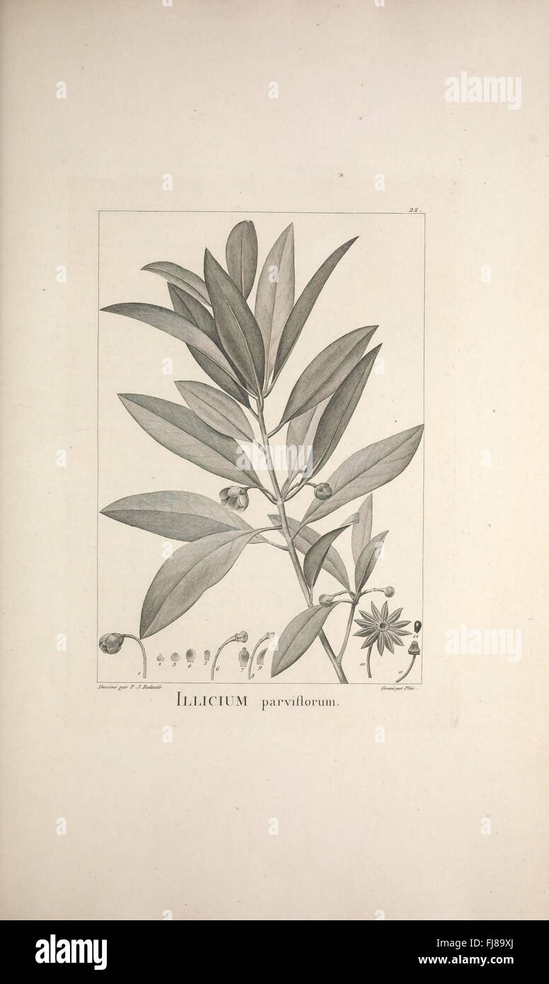 An illustrated description of newly discovered and lesser-known plant ...