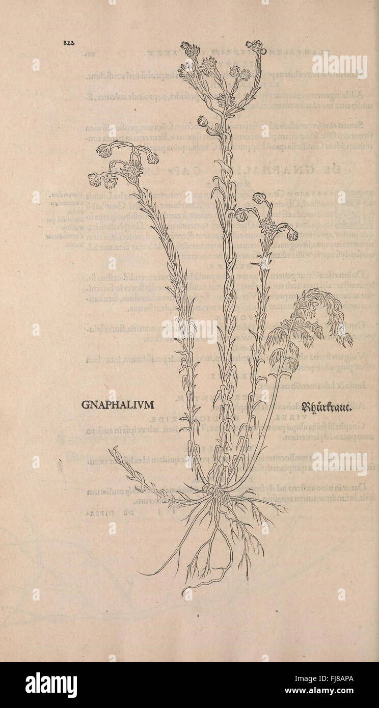 An early botanical work focused on herbalism, plant classification, and ...
