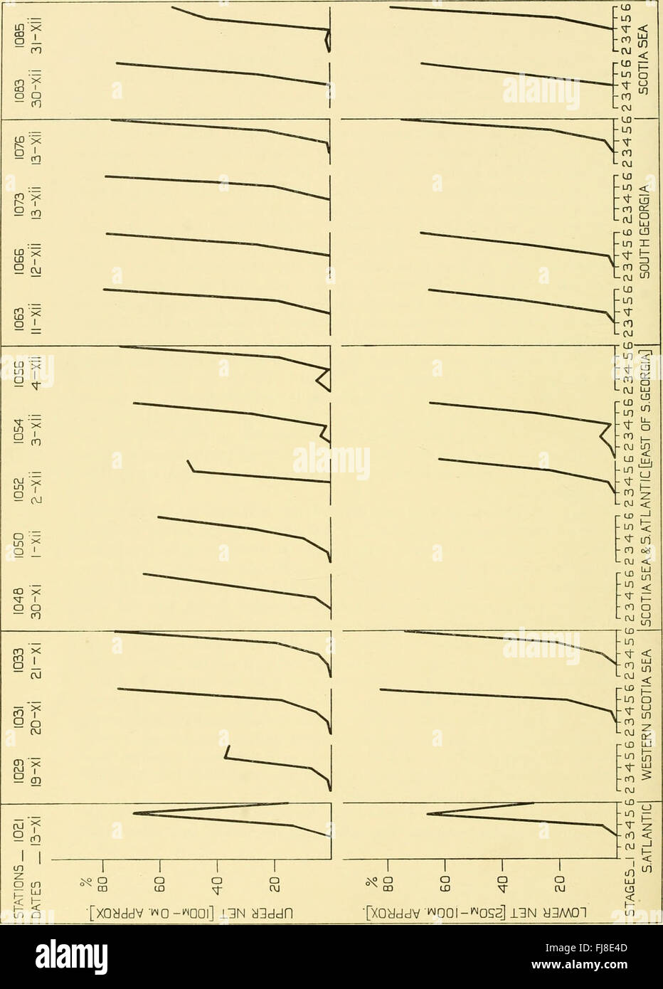 The 1936 Discovery Reports document significant scientific findings and explorations. This historical publication presents discoveries in various fields including geography, biology, and anthropology. Stock Photo