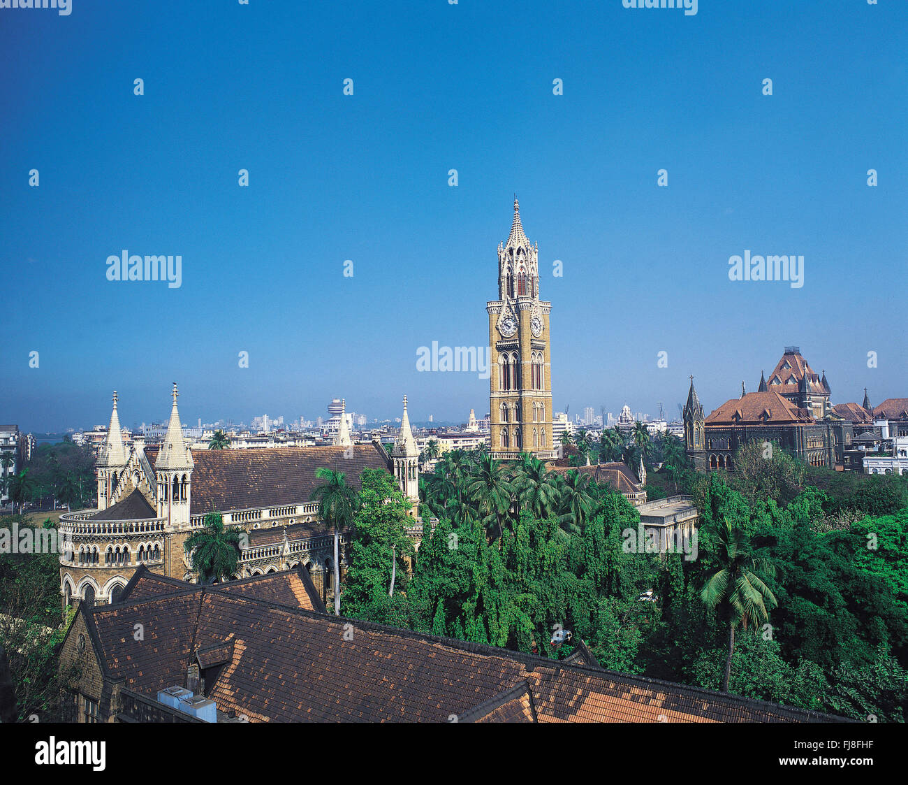 Rajabai clock tower, mumbai, maharashtra, india, asia Stock Photo Alamy