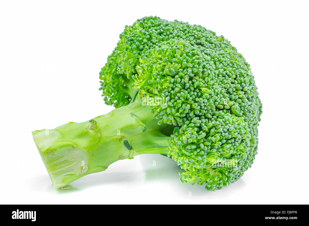 Fresh raw broccoli vegetable on white background. Stock Photo