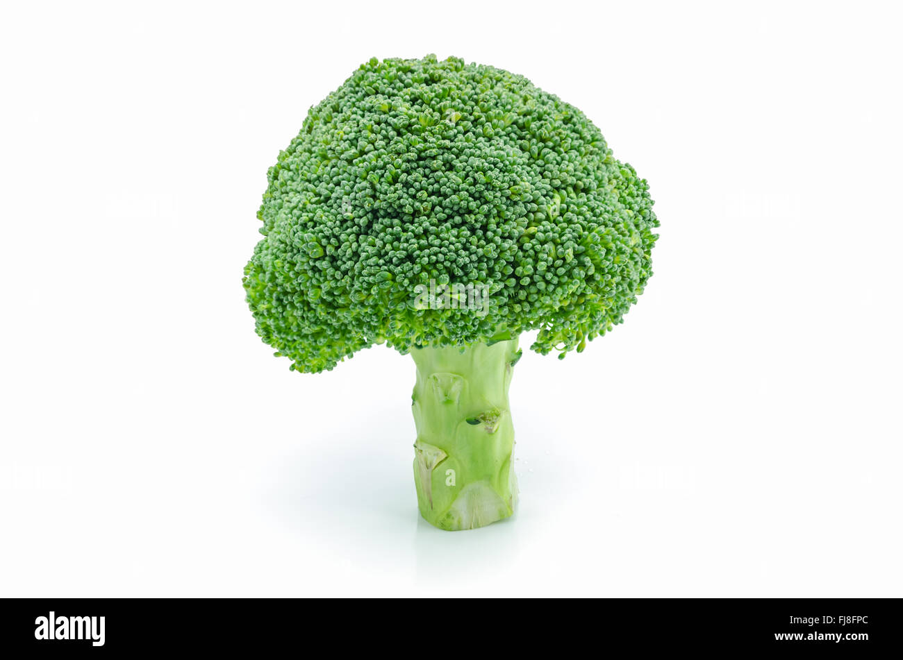 Fresh raw broccoli vegetable on white background. Stock Photo