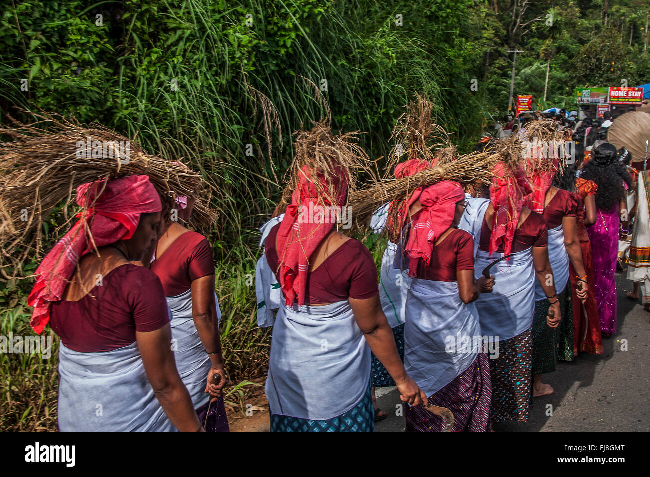 Woman carrying dry grass on head, kerala, india, asia Stock Photo