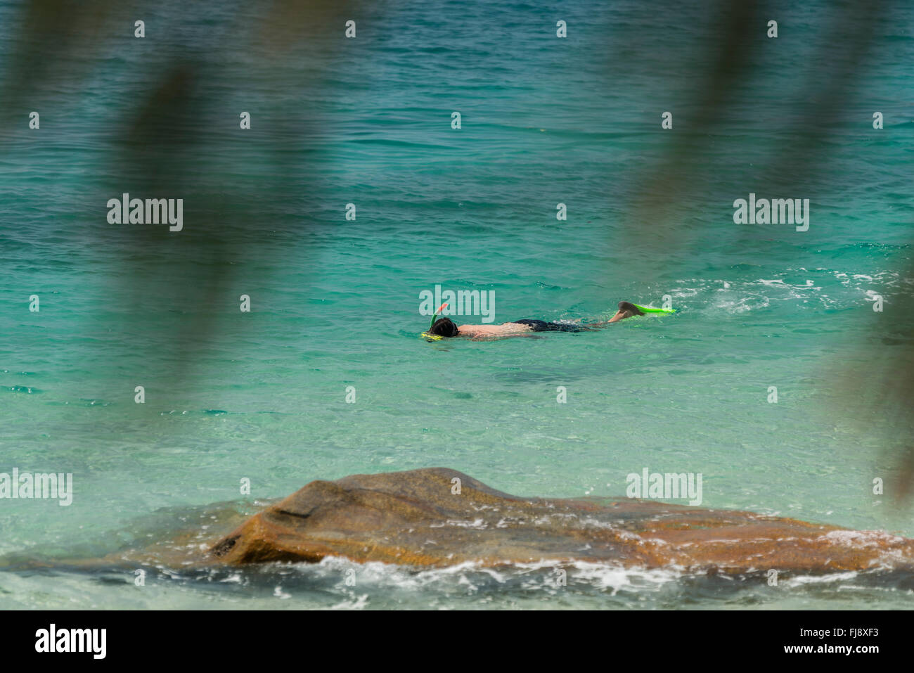 Snorkeler and tropical island hi-res stock photography and images - Alamy