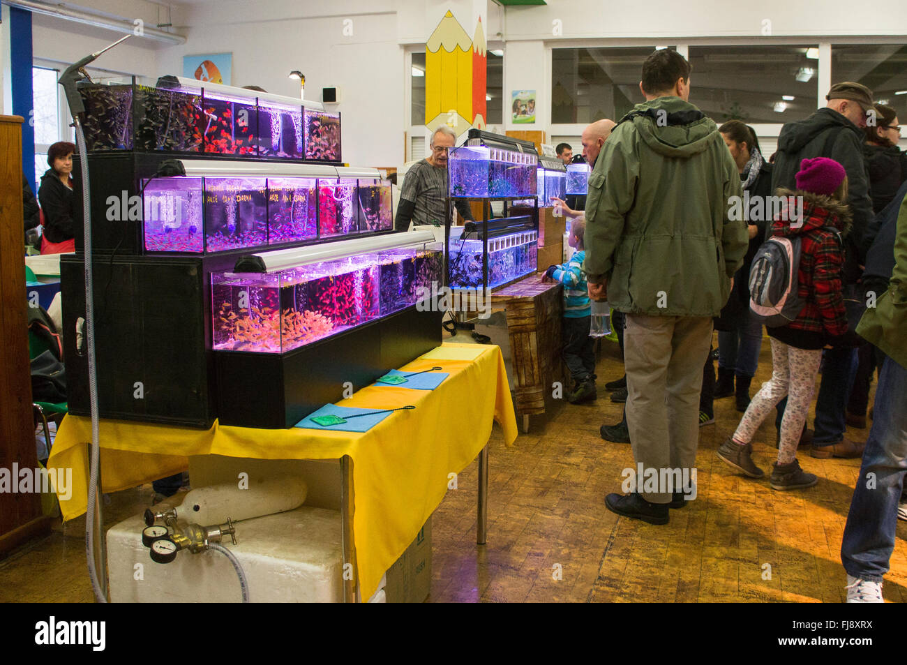 aquarium fish market Stock Photo Alamy