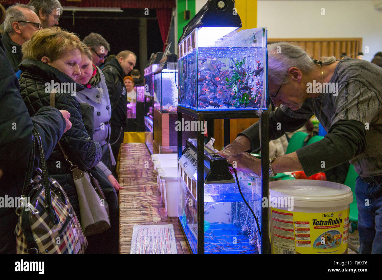 aquarium fish market Stock Photo Alamy