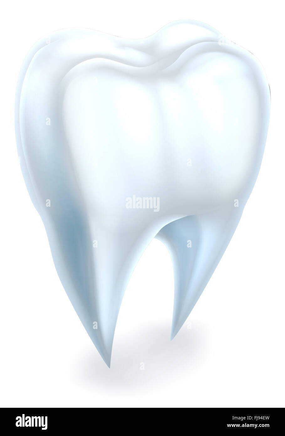 A dental medical illustration of a tooth Stock Photo