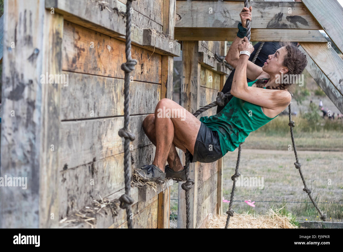 Fit young 19 year old woman competitor climbing an obstacle in an 8km obstacle course challenge Stock Photo