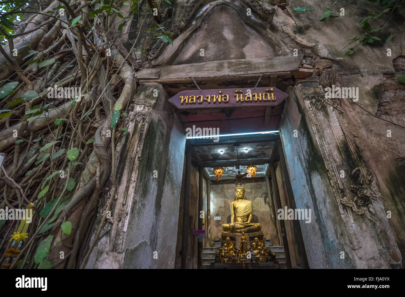 Wat Bang Kung, The Banyan tree temple, Amphawa, Thailand Stock Photo