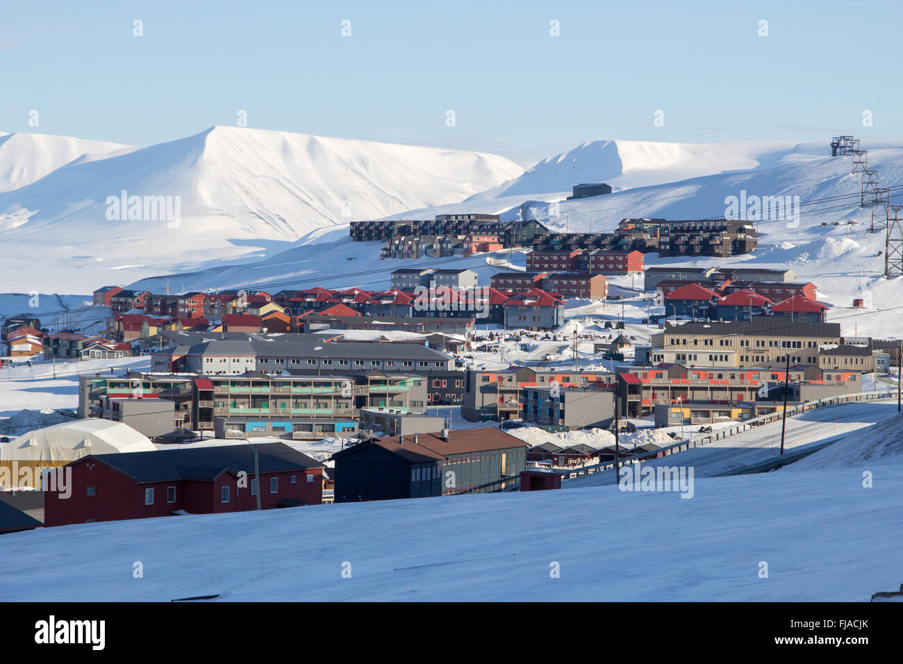 единственный кот на шпицбергене кеша. лонгйир западный шпицберген. кот на острове шпицберген.