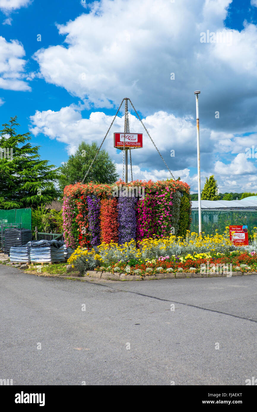 A giant hanging basket in aid of a Prostate Cancer charity  at a garden centre. Stock Photo