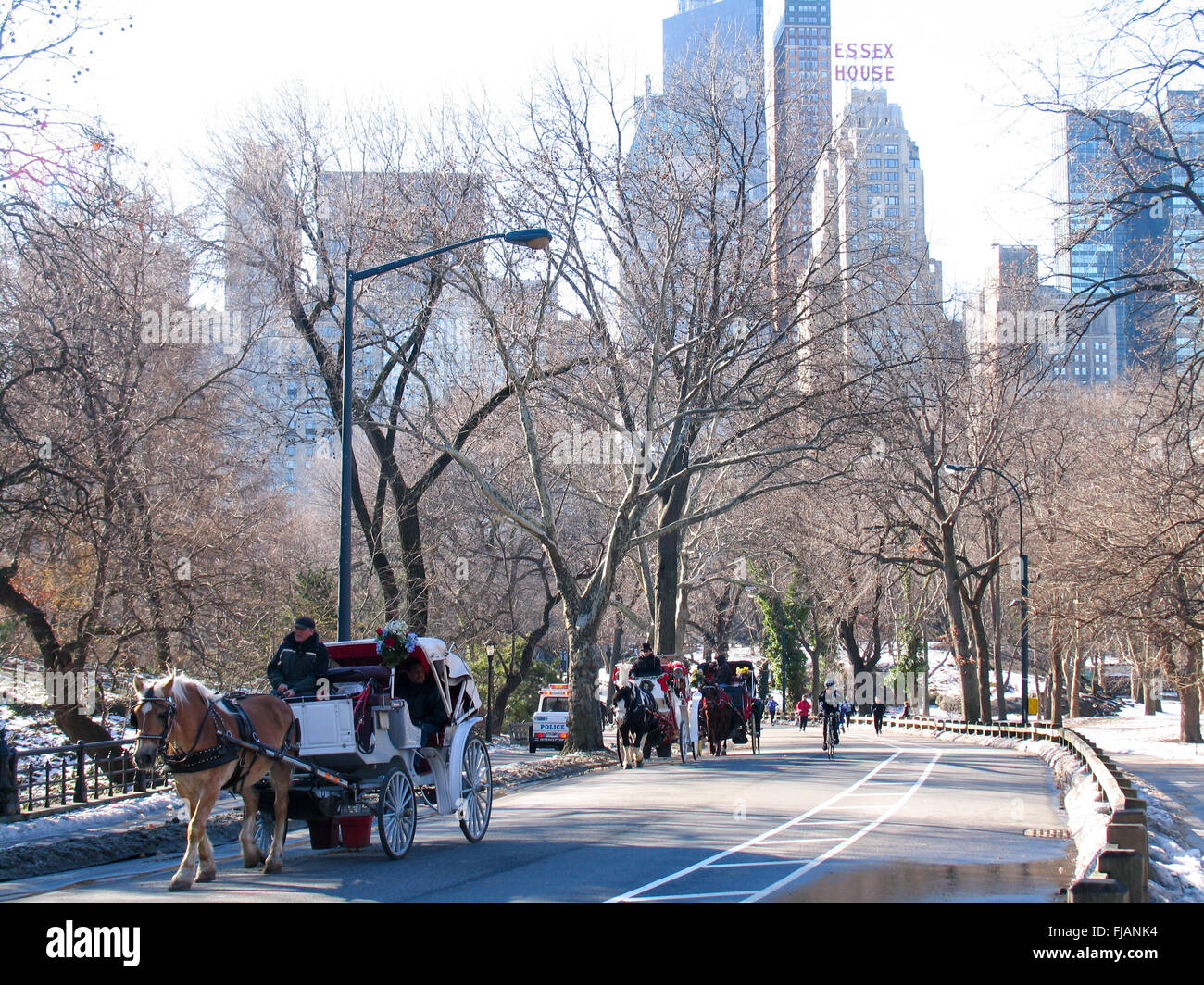 Horse and buggy rides in Central Park, New York City Stock Photo Alamy
