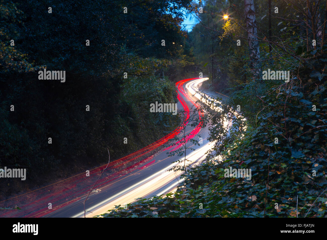 A stream of traffic on a woodland road Stock Photo
