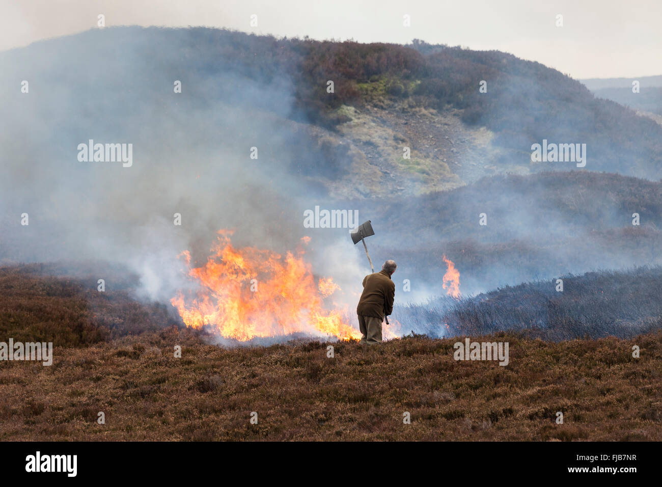 Gamekeeper Heather Burning in the North Pennines County Durham UK Stock Photo