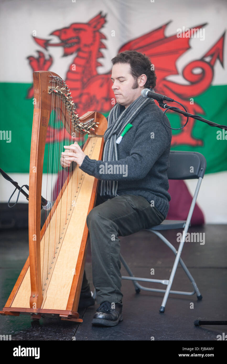 Playing Welsh harp on stage at Guildhall Square for a Saint David's Day