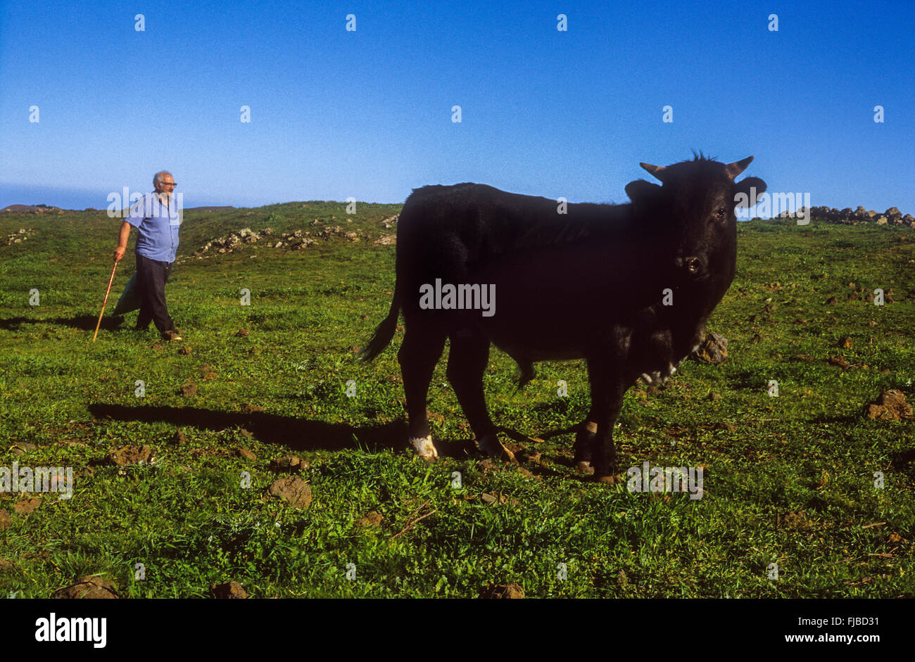 Rancher in Meseta de Nisdafe, Nisdafe plateau, El Hierro, Canary Island ...