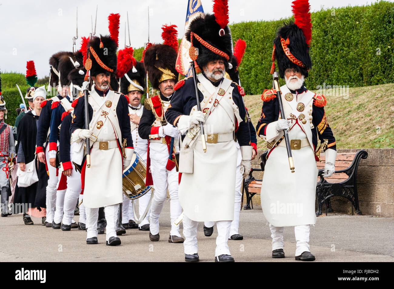 Re-enactment, Napoleonic wars, French Imperial Guard company with senior officer holding swagger stick marching in column towards viewer. Eye-contact. Stock Photo