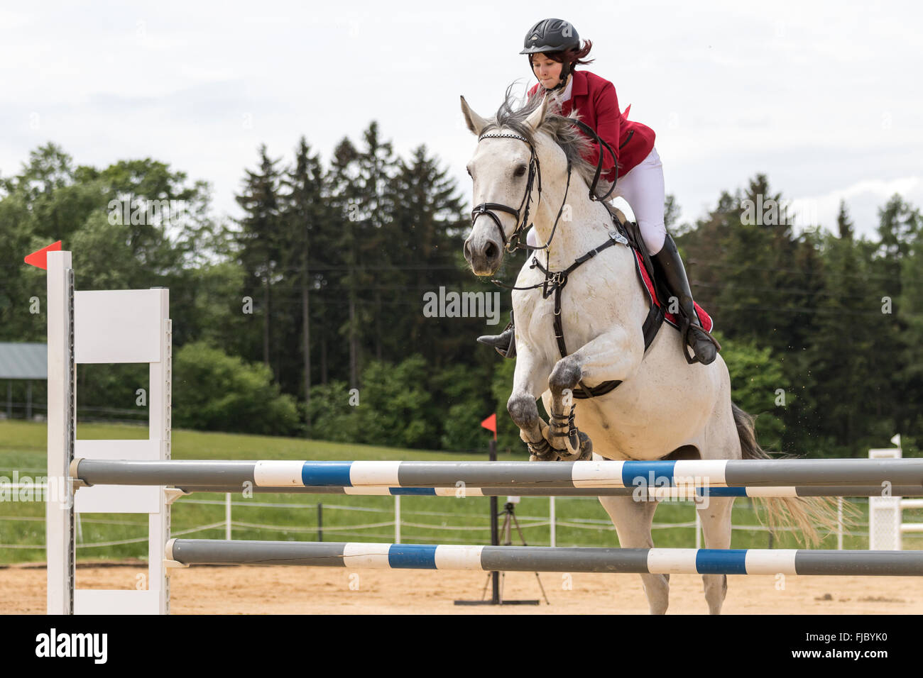 red showjumping jacket