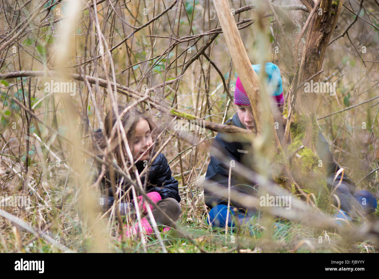 Children seen through branches in woodland. Sisters sit on the ground of a wood, hidden by undergrowth and trees Stock Photo