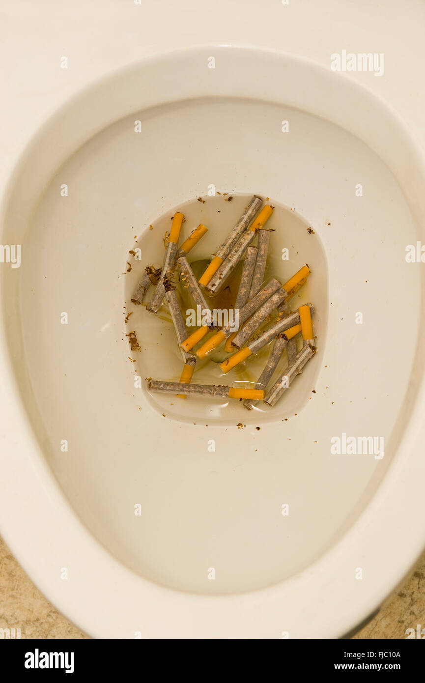 Cigarettes In The Toilet Stock Photo Alamy