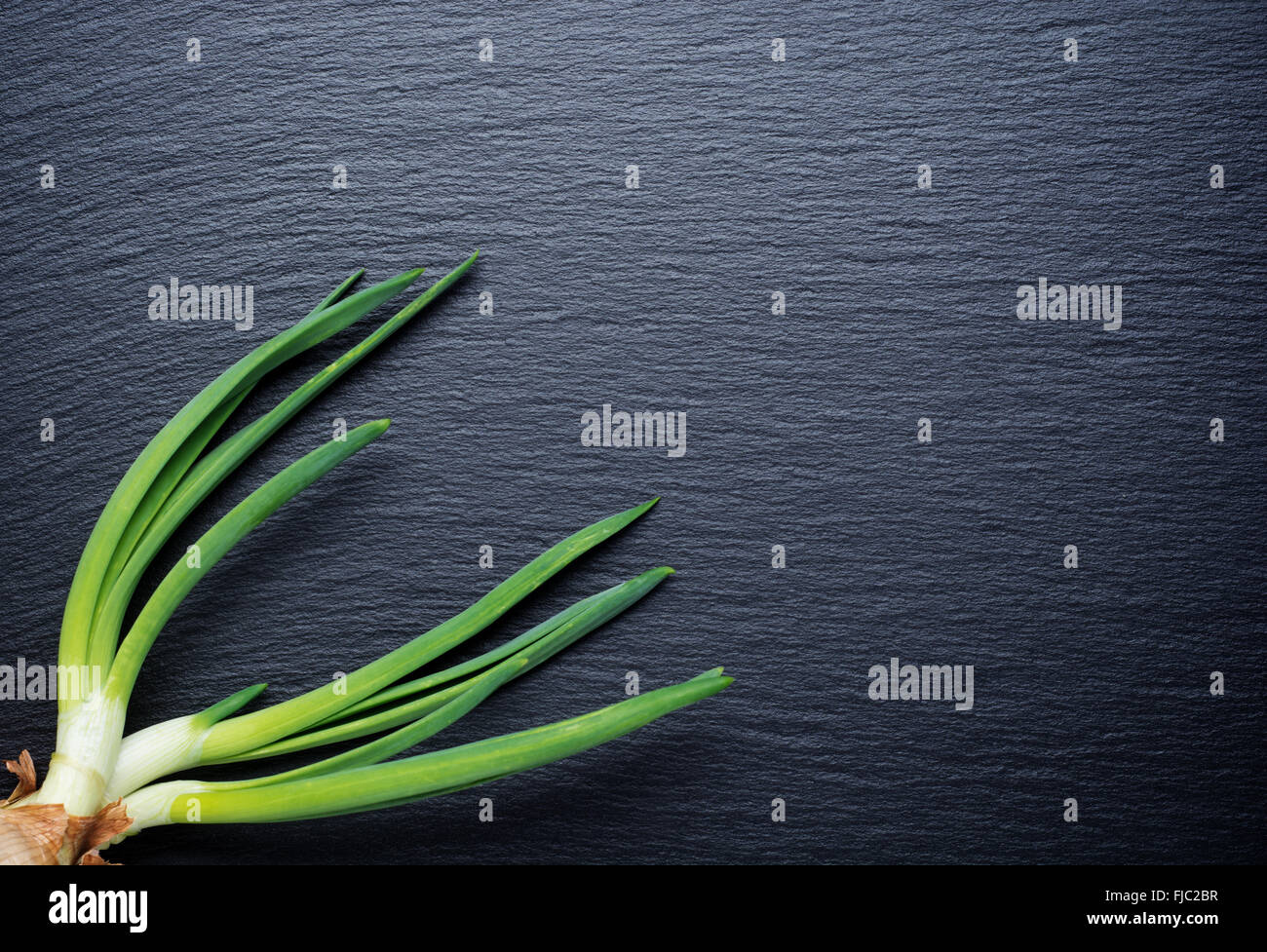 Green onions textiles on a black stone background Stock Photo