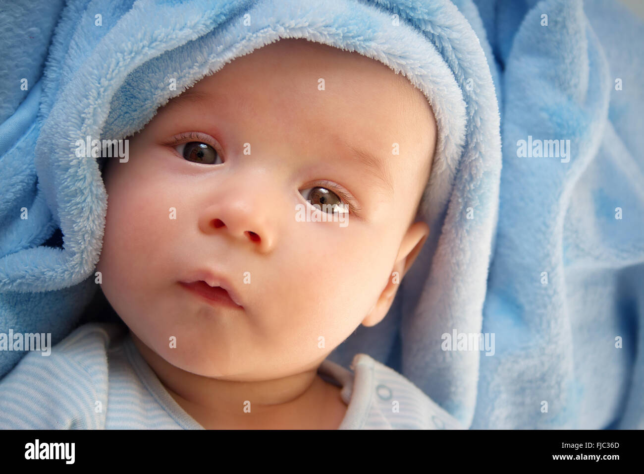 three month old baby wrapped in blue blanket Stock Photo Alamy