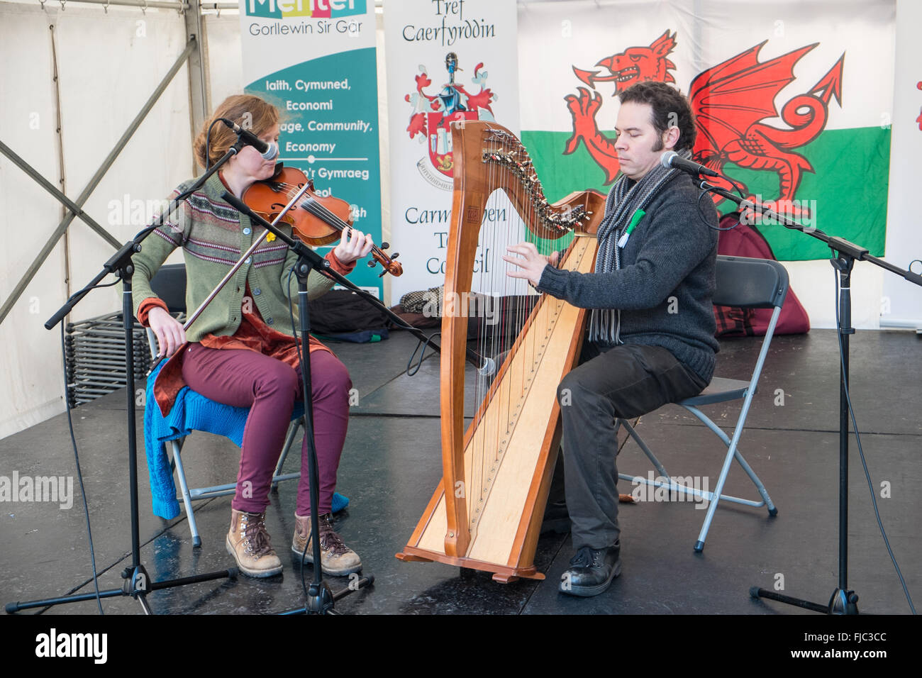 Playing, Welsh, harp, on stage at Guildhall Square for a Saint David's