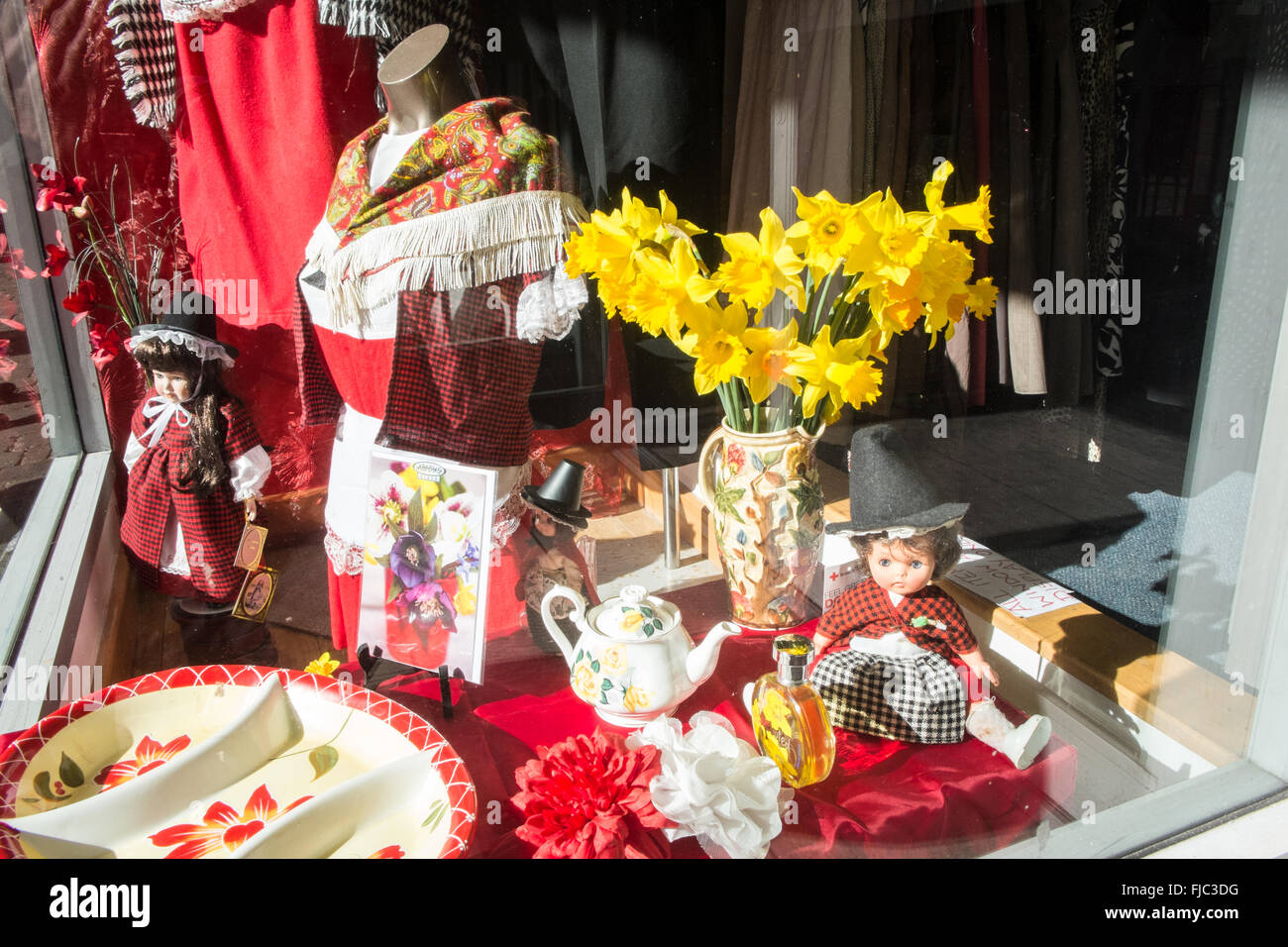 Pride flag flags window display hi-res stock photography and images - Alamy