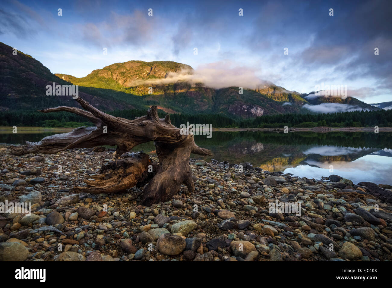Buttle Lake, Strathcona Park on Vancouver Island, British Columbia Stock Photo