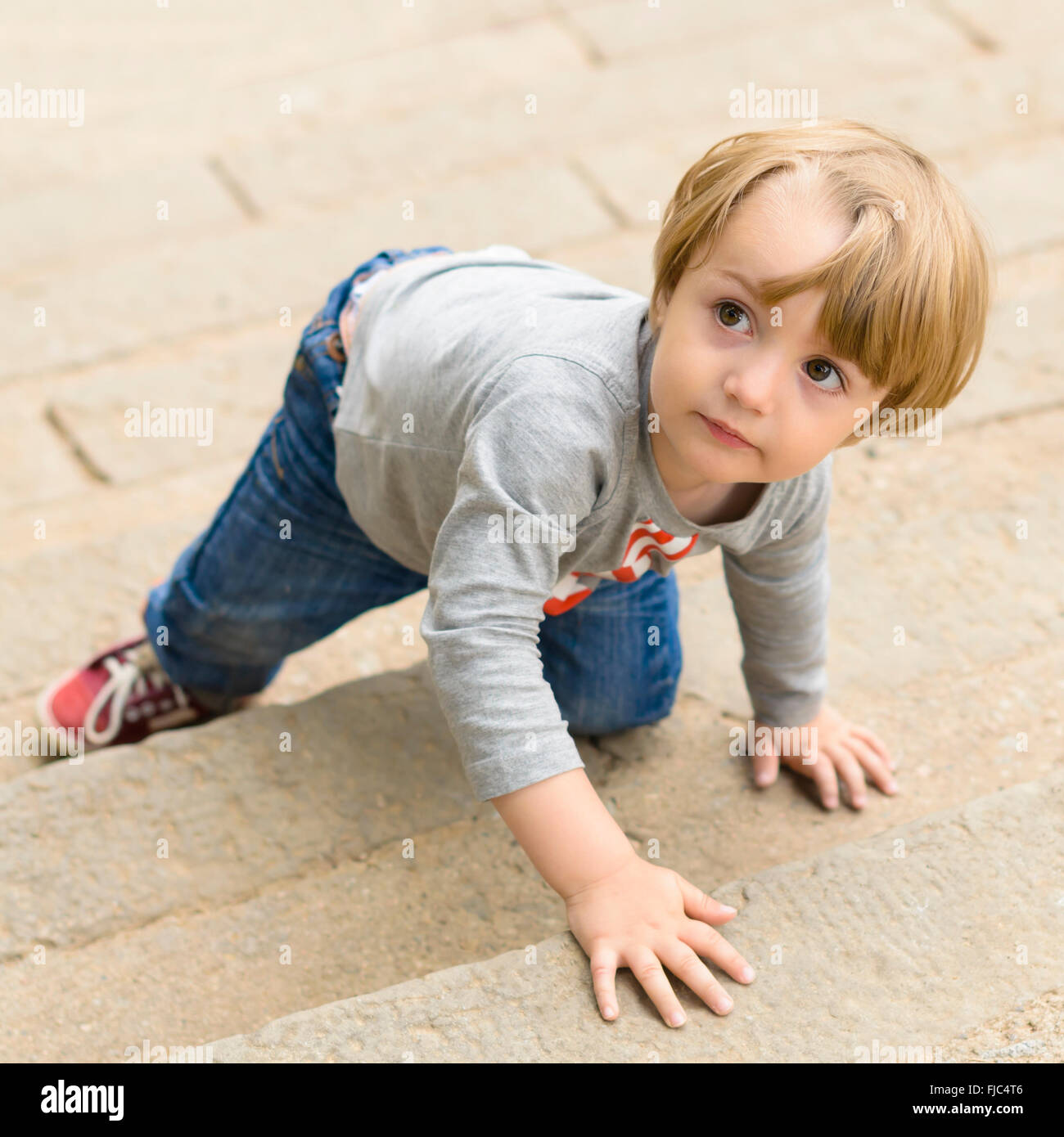 Go on all fours hi res stock photography and images alamy
