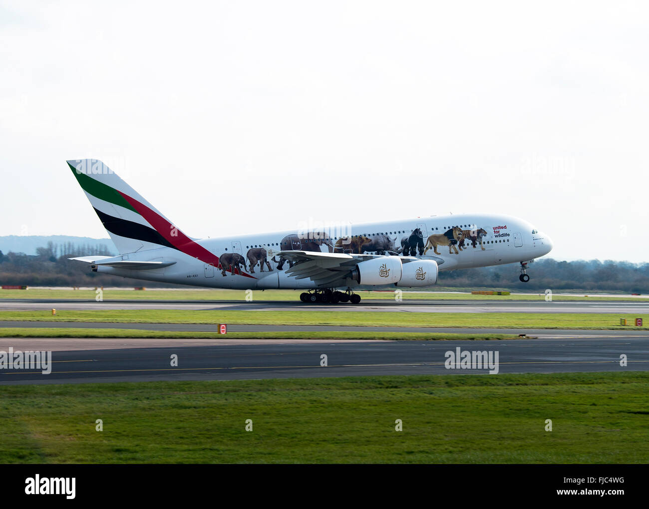 Emirates wildlife a380 hi-res stock photography and images - Alamy