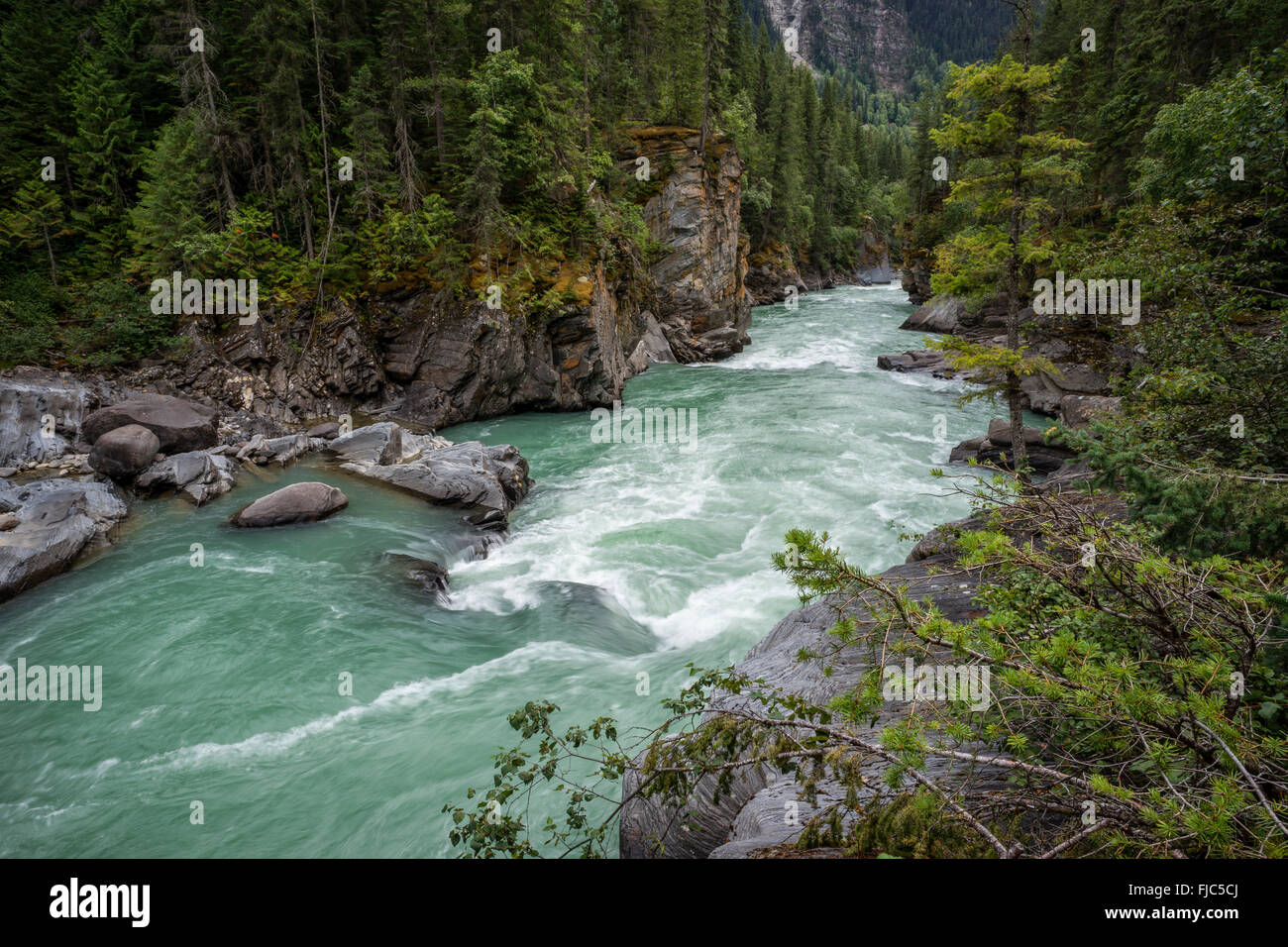 Overlander Falls Trail, Mount Robson Provincial Park, British Columbia, Canada, Fraser River Stock Photo
